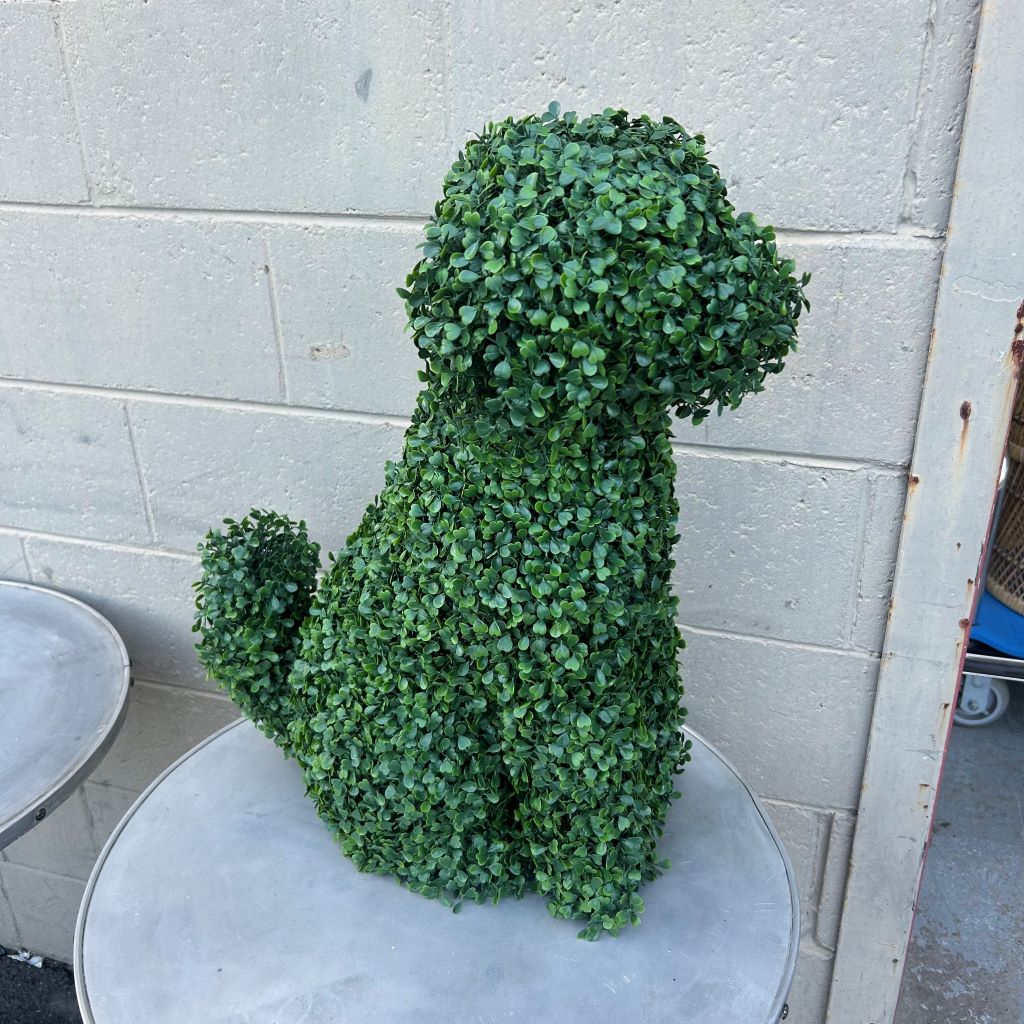 TOPIARY, Dog 50cmW x 60cmH